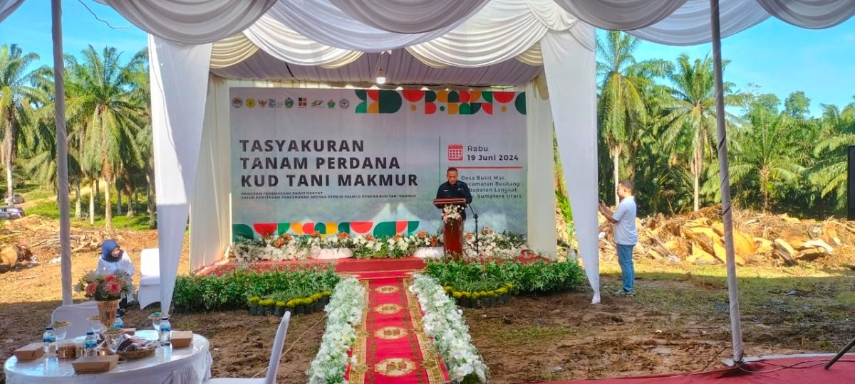Kegiatan Tasyakuran “Tanam Perdana”, Bibit Kelapa Sawit  Kud Tani Makmur DesaBukit Mas Langkat.