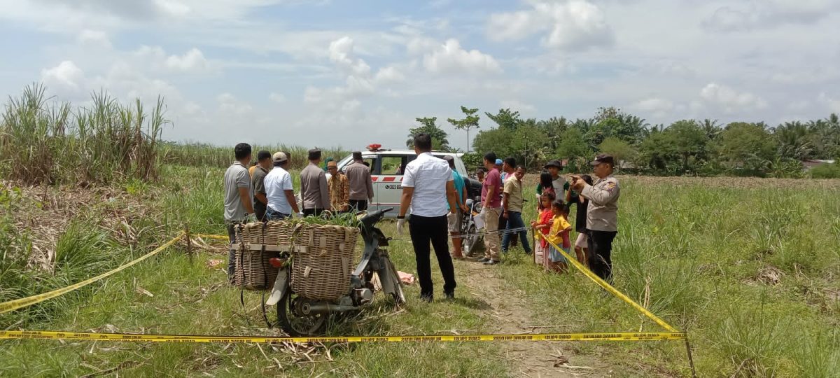 Ada-Nya Informasi Penemuan Mayat Di Areal Kebun Tebu, Polsek Secanggang Langsung Olah TKP.