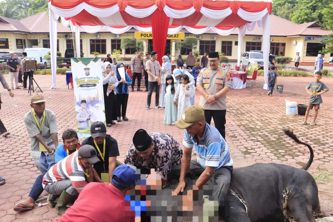 Kapolres Langkat Serahkan 12 Ekor Sapi dan 5 Ekor Kambing Hewan Kurban di Momen Idul Adha 1446 H