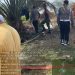 Kebakaran Lahan Kebun Sawit Milik Warga di Dusun V, Jantung Tujuh Desa Poncowarno, Salapian  Api Sudah Dapat Dijinakan.